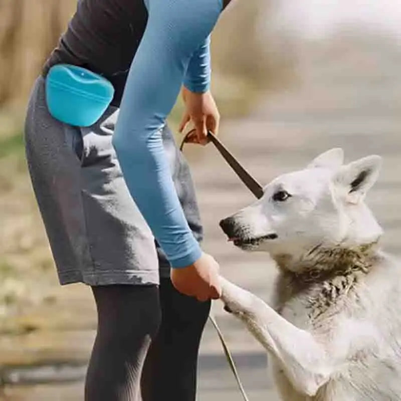 1-2PCS Go Out Portable Silicone Dog Food Bag Training Dog Waist Bag Outdoor Travel Storage Bag Hanging Clip Waterproof Food Bag